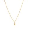 Hot Initial And Cz Necklace In Gold | N Delicate