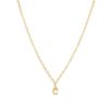 Clearance Initial And Cz Necklace In Gold | C Delicate