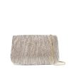 Hot Brit Flat Pleated Pouch In Champagne Crossbody