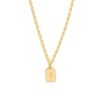 New Initial Tag Pendant Necklace In Gold | P Delicate