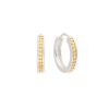 Online Classic Two Tone Small Hinge Hoops Hoops