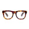 Hot D28 In Turtle Reading Glasses