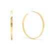 Best Hammered Gold Hoops Hoops