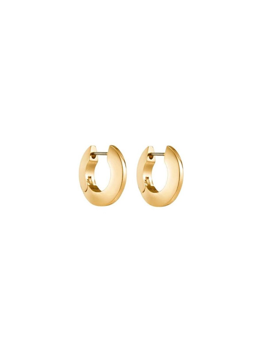 Best Toni Small Hoops Gold Hoops