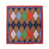 New Mischa Argyle Scarf Scarves